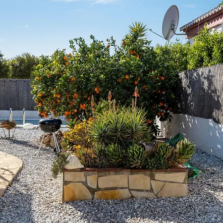 Casa Palmera Ferienhaus Málaga