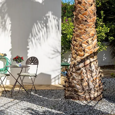 Casa Palmera