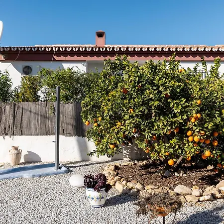 Ferienhaus Casa Palmera